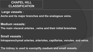 CHAPEL HILL
CLASSIFICATION
Large vessels :
Aorta and its major branches and the analogous veins.
Medium vessels:
The main visceral arteries , veins and their initial branches.
Small vessels :
Intraparenchymal arteries, arterioles, capillaries, venules, and veins.
The kidney is used to exemplify medium and small vessels.
 