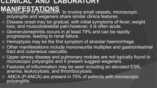 CLINICAL AND LABORATORY
MANIFESTATIONS Because of its predilection to involve small vessels, microscopic
polyangitis and wegeners share similar clinica features.
 Disease onset may be gradual, with initial symptoms of fever, weight
loss, and musculoskeletal pain;however, it is often acute.
 Glomerulonephritis occurs in at least 79% and can be rapidly
progressive, leading to renal failure.
 Hemoptysis may be the first symptom of alveolar haemorrhage
 Other manifestations include mononeuritis multiplex and gastrointestinal
tract and cutaneous vasculitis.
 Upper airway disease and pulmonary nodules are not typically found in
microscopic polyangitis and if present suggest wegeners.
 Features of inflummation may be seen including an elevated ESR,
anemia, leukocytosis, and thrombocytosis.
 ANCA (P-ANCA) are present in 75% of patients with microscopic
polyangiitis.
 