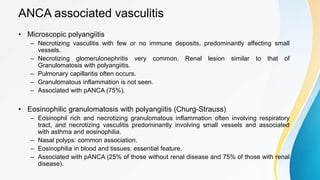 ANCA associated vasculitis
• Microscopic polyangiitis
– Necrotizing vasculitis with few or no immune deposits, predominantly affecting small
vessels.
– Necrotizing glomerulonephritis very common. Renal lesion similar to that of
Granulomatosis with polyangiitis.
– Pulmonary capillaritis often occurs.
– Granulomatous inflammation is not seen.
– Associated with pANCA (75%).
• Eosinophilic granulomatosis with polyangiitis (Churg-Strauss)
– Eosinophil rich and necrotizing granulomatous inflammation often involving respiratory
tract, and necrotizing vasculitis predominantly involving small vessels and associated
with asthma and eosinophilia.
– Nasal polyps: common association.
– Eosinophilia in blood and tissues: essential feature.
– Associated with pANCA (25% of those without renal disease and 75% of those with renal
disease).
 