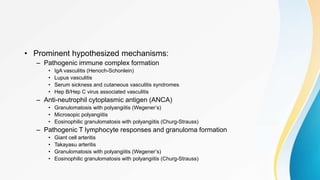 • Prominent hypothesized mechanisms:
– Pathogenic immune complex formation
• IgA vasculitis (Henoch-Schonlein)
• Lupus vasculitis
• Serum sickness and cutaneous vasculitis syndromes
• Hep B/Hep C virus associated vasculitis
– Anti-neutrophil cytoplasmic antigen (ANCA)
• Granulomatosis with polyangiitis (Wegener’s)
• Microsopic polyangiitis
• Eosinophilic granulomatosis with polyangiitis (Churg-Strauss)
– Pathogenic T lymphocyte responses and granuloma formation
• Giant cell arteritis
• Takayasu arteritis
• Granulomatosis with polyangiitis (Wegener’s)
• Eosinophilic granulomatosis with polyangiitis (Churg-Strauss)
 