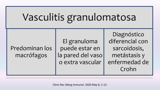 Vasculitis granulomatosa
Predominan los
macrófagos
El granuloma
puede estar en
la pared del vaso
o extra vascular
Diagnóstico
diferencial con
sarcoidosis,
metástasis y
enfermedad de
Crohn
Clinic Rev Allerg Immunol. 2020 May 6; 1-13.
 