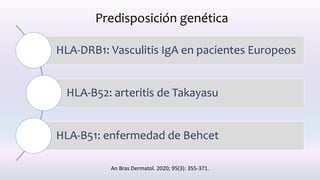 Predisposición genética
HLA-DRB1: Vasculitis IgA en pacientes Europeos
HLA-B52: arteritis de Takayasu
HLA-B51: enfermedad de Behcet
An Bras Dermatol. 2020; 95(3): 355-371.
 