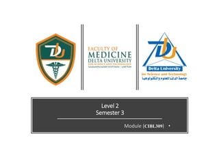 Level 2
Semester 3
•
Module (CIBL309)
 