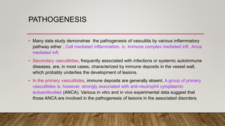 PATHOGENESIS
• Many data study demonstrae the pathogenesis of vasculitis by various inflammatory
pathway either ; Cell mediated inflammation, ic. Immune complex mediated infl., Anca
mediated infl.
• Secondary vasculitides, frequently associated with infections or systemic autoimmune
diseases, are, in most cases, characterized by immune deposits in the vessel wall,
which probably underlies the development of lesions.
• In the primary vasculitides, immune deposits are generally absent. A group of primary
vasculitides is, however, strongly associated with anti-neutrophil cytoplasmic
autoantibodies (ANCA). Various in vitro and in vivo experimental data suggest that
those ANCA are involved in the pathogenesis of lesions in the associated disorders.
 