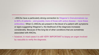 • –ANCAs have a particularly strong connection to Wegener’s Granulomatosis (up
to 80% of patients – and possibly more of those with active disease – have these
antibodies). When C–ANCAs are present in the blood of a patient with symptoms
or signs suggesting Wegener’s, the likelihood of the diagnosis increases
considerably. Because of the long list of other conditions that are sometimes
associated with ANCAs,
• however, in most cases it is still VERY IMPORTANT to biopsy an organ involved
by vasculitis to verify the diagnosis.
 
