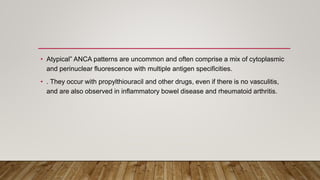 • Atypical” ANCA patterns are uncommon and often comprise a mix of cytoplasmic
and perinuclear fluorescence with multiple antigen specificities.
• . They occur with propylthiouracil and other drugs, even if there is no vasculitis,
and are also observed in inflammatory bowel disease and rheumatoid arthritis.
 