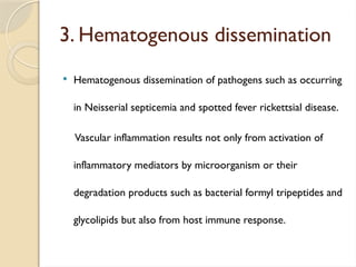 3. Hematogenous dissemination
 Hematogenous dissemination of pathogens such as occurring
in Neisserial septicemia and spotted fever rickettsial disease.
Vascular inflammation results not only from activation of
inflammatory mediators by microorganism or their
degradation products such as bacterial formyl tripeptides and
glycolipids but also from host immune response.
 