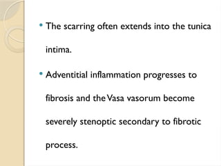  The scarring often extends into the tunica
intima.
 Adventitial inflammation progresses to
fibrosis and theVasa vasorum become
severely stenoptic secondary to fibrotic
process.
 