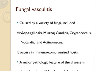 Fungal vasculitis
 Caused by a variety of fungi, included
=>Aspergilosis, Mucor, Candida, Cryptococcus,
Nocardia, and Actinomyces.
It occurs in immuno-compromised hosts.
 A major pathologic feature of the disease is
 