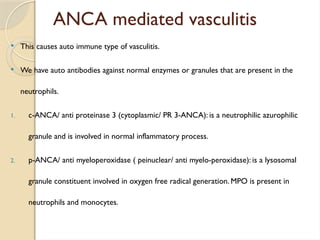 ANCA mediated vasculitis
 This causes auto immune type of vasculitis.
 We have auto antibodies against normal enzymes or granules that are present in the
neutrophils.
1. c-ANCA/ anti proteinase 3 (cytoplasmic/ PR 3-ANCA): is a neutrophilic azurophilic
granule and is involved in normal inflammatory process.
2. p-ANCA/ anti myeloperoxidase ( peinuclear/ anti myelo-peroxidase): is a lysosomal
granule constituent involved in oxygen free radical generation. MPO is present in
neutrophils and monocytes.
 
