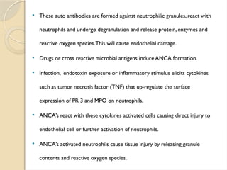  These auto antibodies are formed against neutrophilic granules, react with
neutrophils and undergo degranulation and release protein, enzymes and
reactive oxygen species.This will cause endothelial damage.
 Drugs or cross reactive microbial antigens induce ANCA formation.
 Infection, endotoxin exposure or inflammatory stimulus elicits cytokines
such as tumor necrosis factor (TNF) that up-regulate the surface
expression of PR 3 and MPO on neutrophils.
 ANCA’s react with these cytokines activated cells causing direct injury to
endothelial cell or further activation of neutrophils.
 ANCA’s activated neutrophils cause tissue injury by releasing granule
contents and reactive oxygen species.
 