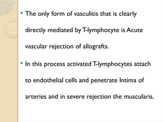  The only form of vasculitis that is clearly
directly mediated by T-lymphocyte is Acute
vascular rejection of allografts.
 In this process activated T-lymphocytes attach
to endothelial cells and penetrate Intima of
arteries and in severe rejection the muscularis.
 