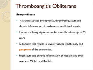 Thromboangitis Obliterans
Buerger disease
 it is characterized by segmental, thrombosing, acute and
chronic inflammation of medium and small sized vessels.
 It occurs in heavy cigarette smokers usually before age of 35
years.
 A disorder that results in severe vascular insufficiency and
gangrene of the extremities.
 Focal acute and chronic inflammation of medium and small
arteries- Tibial and Radial.
 
