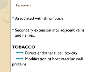 Pathogenesis
 Associated with thrombosis
 Secondary extension into adjacent veins
and nerves.
TOBACCO
Direct endothelial cell toxicity
Modification of host vascular wall
proteins
 