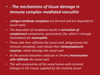 • . The mechanisms of tissue damage in
  immune complex–mediated vasculitis
•    antigen-antibody complexes are formed and are deposited in
    vessel walls .
•   The deposition of complexes results in activation of
    complement components, particularly C5a, which is strongly
    chemotactic for neutrophils.
•   These cells then infiltrate the vessel wall, phagocytose the
    immune complexes, and release their intracytoplasmic
    enzymes, which damage the vessel wall.
•   As the process becomes subacute or chronic,mononuclear
    cells infiltrate the vessel wall.
•   This will compromise of the vessel lumen with ischemic
    changes in the tissues supplied by the involved vessel.
 