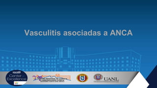 Vasculitis asociadas a ANCA
 