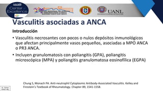 Vasculitis asociadas a ANCA
Introducción
• Vasculitis necrosantes con pocos o nulos depósitos inmunológicos
que afectan principalmente vasos pequeños, asociadas a MPO ANCA
o PR3 ANCA.
• Incluyen granulomatosis con poliangitis (GPA), poliangitis
microscópica (MPA) y poliangitis granulomatosa eosinofílica (EGPA)
Chung S, Monach PA. Anti-neutrophil Cytoplasmic Antibody-Associated Vasculitis. Kelley and
Firestein’s Textbook of Rheumatology. Chapter 89, 1541-1558.Dr. Ochoa
CRAIC Mty
 