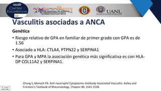 Vasculitis asociadas a ANCA
Genética
• Riesgo relativo de GPA en familiar de primer grado con GPA es de
1.56
• Asociado a HLA: CTLA4, PTPN22 y SERPINA1
• Para GPA y MPA la asociación genética más significativa es con HLA-
DP COL11A2 y SERPINA1.
Chung S, Monach PA. Anti-neutrophil Cytoplasmic Antibody-Associated Vasculitis. Kelley and
Firestein’s Textbook of Rheumatology. Chapter 89, 1541-1558.Dr. Ochoa
CRAIC Mty
 