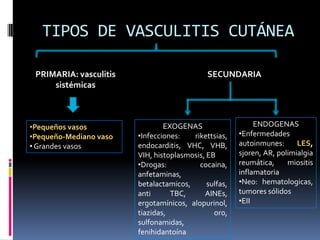 TIPOS DE VASCULITIS CUTÁNEA

 PRIMARIA: vasculitis                        SECUNDARIA
     sistémicas



•Pequeños vasos                 EXOGENAS                    ENDOGENAS
•Pequeño-Mediano vaso   •Infecciones:   rikettsias,    •Enfermedades
• Grandes vasos         endocarditis, VHC, VHB,        autoinmunes:      LES,
                        VIH, histoplasmosis, EB        sjoren, AR, polimialgia
                        •Drogas:          cocaina,     reumática,     miositis
                        anfetaminas,                   inflamatoria
                        betalactamicos,      sulfas,   •Neo: hematologicas,
                        anti      TBC,      AINEs,     tumores sólidos
                        ergotamínicos, alopurinol,     •EII
                        tiazidas,              oro,
                        sulfonamidas,
                        fenihidantoína
 