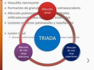 » Vasculitis necrosante
» Formacion de granulomas intra o extravasculares
» Afección pulmonar en forma de múltiples
infiltradosnodulados cavitados, bilaterales
» Lesiones en senos paranasales y nasofaringe
» Lesion renal
˃ Glomerulonefritis local y segmentaria, puede evolucionar rapidamente
TRIADA
Afección
renal
Afección
de vías
resp
superiores
Afección
de vías
resp
inferiores
 