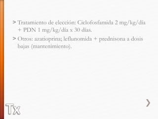 ˃ Tratamiento de elección: Ciclofosfamida 2 mg/kg/día
+ PDN 1 mg/kg/día x 30 días.
˃ Otros: azatioprina; leflunomida + prednisona a dosis
bajas (mantenimiento).
 
