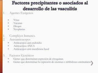 1. Agentes Exógenos
• Virus
• Vacunas
• Drogas
• Neoplasias
1. Complejos Inmunes
2. Autoanticuerpos
• Anticuerpos anti-endotelio
• Anticuerpos ANCA
• Anticuerpos anti-membrana basal
3. Factores Genéticos
• Genes que determinan expresión de citoquinas.
• Genes que determinan la expresión de enzimas e inhibidores enzimáticos.
 