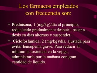 Los fármacos empleados
        con frecuencia son:
• Prednisona, 1 (mg/kg)/día al principio,
  reduciendo gradualmente después; pasar a
  dosis en días alternos y suspender.
• Ciclofosfamida, 2 (mg/kg)/día, ajustada para
  evitar leucopenia grave. Para reducir al
  mínimo la toxicidad en la vejiga,
  administrarla por la mañana con gran
  cantidad de líquido.
 