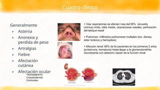 Cuadro clínico
Generalmente
▸ Astenia
▸ Anorexia y
perdida de peso
▸ Artralgias
▸ Fiebre
▸ Afectación
cutánea
▸ Afectación ocular
+ Vias respiratorias se afectan mas del 90% (sinusitis
crónica) rinitis, otitis media, ulceraciones nasales, perforación
del tabique nasal
+ Pulmones: infiltrados pulmonares multiples (tos, disnea,
dolor torácico y hemoptisis)
+ Afección renal: 80% de lis pacientes en los primeros 2 años
(proteinuria, hematuria) hasta llegar a la glomerulonefritis
necrotizante con deterioro rápido de la función renal
TRATAMIENTO
Ciclosfosfamida
Corticoides
 