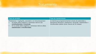 Tratamiento
Fase de remisión Fase de mantenimiento
Prednisona 1 mg/kg/día, asociado a un inmunosuprosor:
• Si existe daño orgánico o amenaza vital se usa
ciclofosfamida o rituximab.
• Si no existe daño orgánico o amenaza vital se utiliza
metotrexato o micofenolato.
se disminuye progresivamente la dosis de esteroides y
asociamos fármacos: azatioprina, rituximab, metotrexato o
micofenolato (deben durar menos de 24 meses)
 
