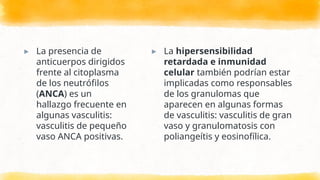 ▸ La presencia de
anticuerpos dirigidos
frente al citoplasma
de los neutrófilos
(ANCA) es un
hallazgo frecuente en
algunas vasculitis:
vasculitis de pequeño
vaso ANCA positivas.
▸ La hipersensibilidad
retardada e inmunidad
celular también podrían estar
implicadas como responsables
de los granulomas que
aparecen en algunas formas
de vasculitis: vasculitis de gran
vaso y granulomatosis con
poliangeítis y eosinofílica.
 