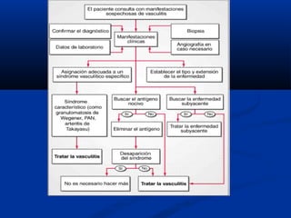 Algoritmo de la conducta que se debe seguir en un paciente
diagnosticado de probable vasculitis.
 