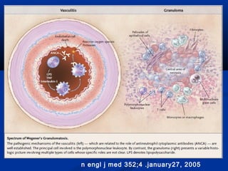 n engl j med 352;4 .january27, 2005
 