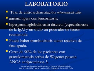 LABORATORIOLABORATORIO
 Tasa de eritrosedimentaciónTasa de eritrosedimentación intensamente alta.intensamente alta.
 anemia ligera con leucocitosis.anemia ligera con leucocitosis.
 hipergammaglobulinemia discreta (especialmentehipergammaglobulinemia discreta (especialmente
de la IgA) y un título un poco alto de factorde la IgA) y un título un poco alto de factor
reumatoide.reumatoide.
 PuedePuede haber trombocitosis como reactivo dehaber trombocitosis como reactivo de
fase aguda.fase aguda.
 Cerca de 90% de losCerca de 90% de los pacientes conpacientes con
granulomatosis activa de Wegener poseengranulomatosis activa de Wegener poseen
ANCA antiproteinasa 3.ANCA antiproteinasa 3.
Clinical Manifestations and Treatment of Wegener’s Granulomatosis
Julia U. Holle, MDa,*, Martin Laudien, MDb, Wolfgang L. Gross, MD, PhDa
 