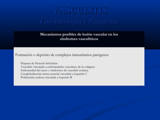 Mecanismos posibles de lesión vascular en los
síndromes vasculíticos
Formación o depósito de complejos inmunitarios patógenos
Púrpura de Henoch-Schönlein
Vasculitis vinculada a enfermedades vasculares de la colágena
Enfermedad del suero y síndromes de vasculitis cutánea
Crioglobulinemia mixta esencial vinculada a hepatitis C
Poliarteritis nudosa vinculada a hepatitis B
VASCULITISVASCULITIS
Fisiopatología y PatogeniaFisiopatología y Patogenia
Harrison 17Ed. Principios de Medicina Interna
 