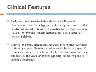 Clinical Features
- Early manifestations include cold induced Raynaud
phenomenon (see later), leg pain induced by exercise that
is relieved on rest (intermittent claudication), instep foot pain
induced by exercise (instep claudication), and a superficial
nodular phlebitis.
 Chronic extremity ulcerations develop, progressing over time
to frank gangrene. Smoking abstinence in the early stages of
the disease can often ameliorate further attacks; however, once
established, the vascular lesions typically do not respond to
smoking abstinence.
 