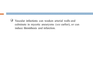 -  Vascular infections can weaken arterial walls and
culminate in mycotic aneurysms (see earlier), or can
induce thrombosis and infarction.
 