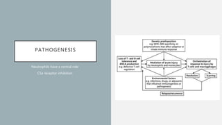 PATHOGENESIS
Neutrophils have a central role
C5a receptor inhibition
 