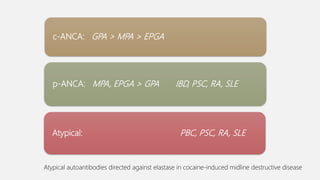 p-ANCA: MPA, EPGA > GPA IBD, PSC, RA, SLE
c-ANCA: GPA > MPA > EPGA
Atypical: PBC, PSC, RA, SLE
Atypical autoantibodies directed against elastase in cocaine-induced midline destructive disease
 