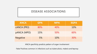 DISEASE ASSOCIATIONS
ANCA GPA MPA EGPA
cANCA (PR3) 80% 40% 10%
pANCA (MPO) 15% 50% 60%
Negative 5% 10% 30%
ANCA specificity predicts pattern of organ involvement
False Positives common in infections such as tuberculosis, malaria and leprosy
 