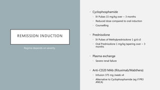REMISSION INDUCTION
• Cyclophosphamide
• IV Pulses 15 mg/kg over ~ 3 months
• Reduced dose compared to oral induction
• Counselling
• Prednisolone
• IV Pulses of Methylprednisolone 1 g/d x3
• Oral Prednisolone 1 mg/kg tapering over ~ 3
months
• Plasma exchange
• Severe renal failure
• Anti-CD20 MAb (Rituximab/Mabthera)
• Infusion 375 mg /week x4
• Alternative to Cyclophosphamide (eg if PR3
ANCA)
Regime depends on severity
 