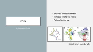 EGPA
• Improved remission induction
• Increased time to first relapse
• Reduced steroid use
Anti-interleukin 5 mAb
biozentrum.uni-wuerzburg.de
EGPA
• Improved remission induction
• Increased time to first relapse
• Reduced steroid use
Anti-interleukin 5 mAb
biozentrum.uni-wuerzburg.de
 