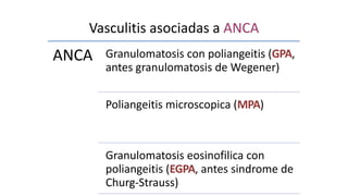 Vasculitis asociadas a ANCA
ANCA Granulomatosis con poliangeitis (GPA,
antes granulomatosis de Wegener)
Poliangeitis microscopica (MPA)
Granulomatosis eosinofilica con
poliangeitis (EGPA, antes sindrome de
Churg-Strauss)
 