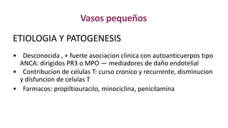 Vasos pequeños
ETIOLOGIA Y PATOGENESIS
• Desconocida , + fuerte asociacion clinica con autoanticuerpos tipo
ANCA: dirigidos PR3 o MPO — mediadores de daño endotelial
• Contribucion de celulas T: curso cronico y recurrente, disminucion
y disfuncion de celulas T
• Farmacos: propiltiouracilo, minociclina, penicilamina
 