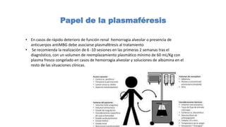 • En casos de rápido deterioro de función renal hemorragia alveolar o presencia de
anticuerpos antiMBG debe asociarse plasmaféresis al tratamiento
• Se recomienda la realización de 6 -10 sesiones en las primeras 2 semanas tras el
diagnóstico, con un volumen de reemplazamiento plasmático mínimo de 60 mL/Kg con
plasma fresco congelado en casos de hemorragia alveolar y soluciones de albúmina en el
resto de las situaciones clínicas.
Papel de la plasmaféresis
 