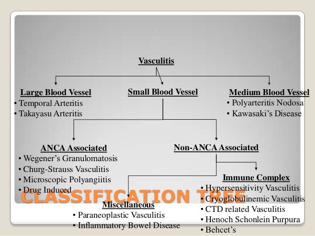 The Vascul Revolution Is It For You - n6dan41