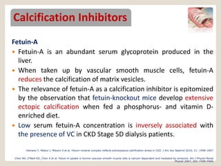 Vasculopathy and ckd | PPTX