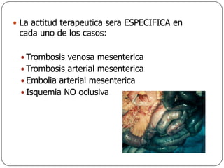 La actitud terapeutica sera ESPECIFICA en cada uno de los casos:Trombosis venosa mesentericaTrombosis arterial mesentericaEmbolia arterial mesentericaIsquemia NO oclusiva