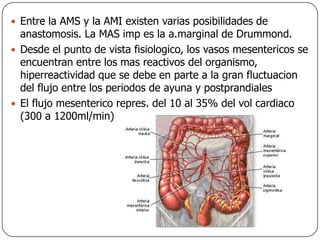 Entre la AMS y la AMI existen varias posibilidades de anastomosis. La MAS imp es la a.marginal de Drummond.Desde el punto de vista fisiologico, los vasos mesentericos se encuentran entre los mas reactivos del organismo, hiperreactividad que se debe en parte a la gran fluctuacion del flujo entre los periodos de ayuna y postprandialesEl flujo mesenterico repres. del 10 al 35% del vol cardiaco (300 a 1200ml/min)