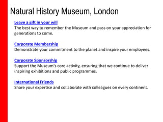 Natural History Museum, London
 Leave a gift in your will
 The best way to remember the Museum and pass on your appreciation for
 generations to come.

 Corporate Membership
 Demonstrate your commitment to the planet and inspire your employees.

 Corporate Sponsorship
 Support the Museum's core activity, ensuring that we continue to deliver
 inspiring exhibitions and public programmes.

 International Friends
 Share your expertise and collaborate with colleagues on every continent.
 