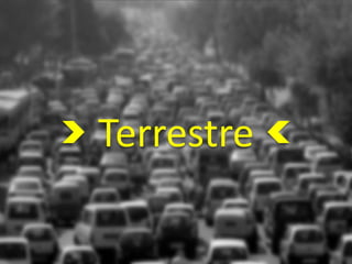 Terrestre
 
